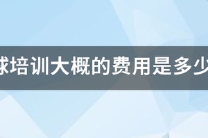 儿童篮球训练收费标准最新